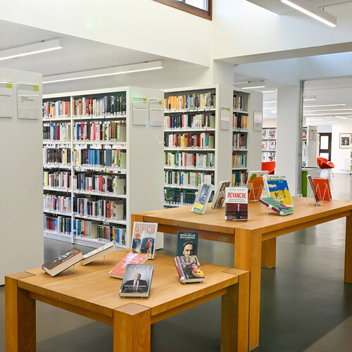 Räumlichkeiten der Bücherei mit Regalen, Ausstelltischen und einem Sessel Header_Medien.jpg
