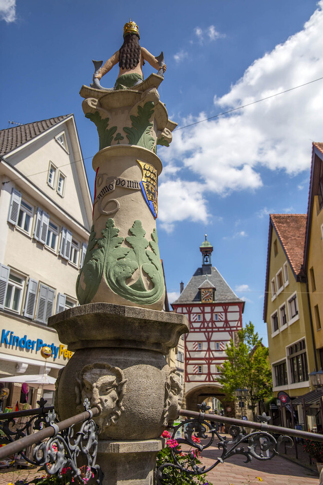 Brunnen mit Meerjungfrau vor Fachwerkhäusern