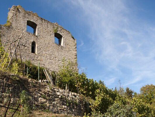 Burg-Ruine auf einem Weinberg