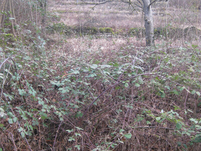 Bild: QR 10 – Landschaft im Wandel III