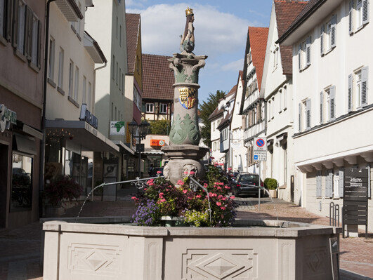 Achteckiger Brunnen mit Meerjungfrau und Blumen