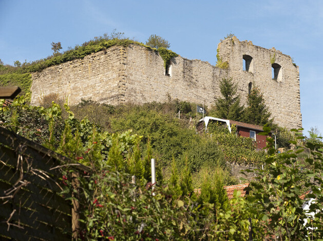 Burg-Ruine auf einem Weinberg