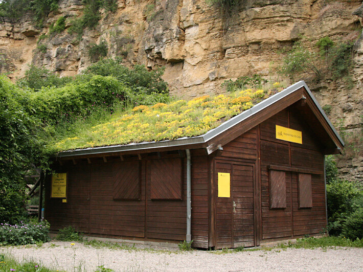 Hütte mit Grasdach vor einer Steinwand