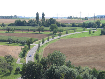 Bild: QR 19 - Landschaft im Wandel IV