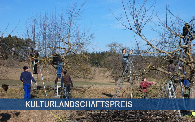 Detailbild: