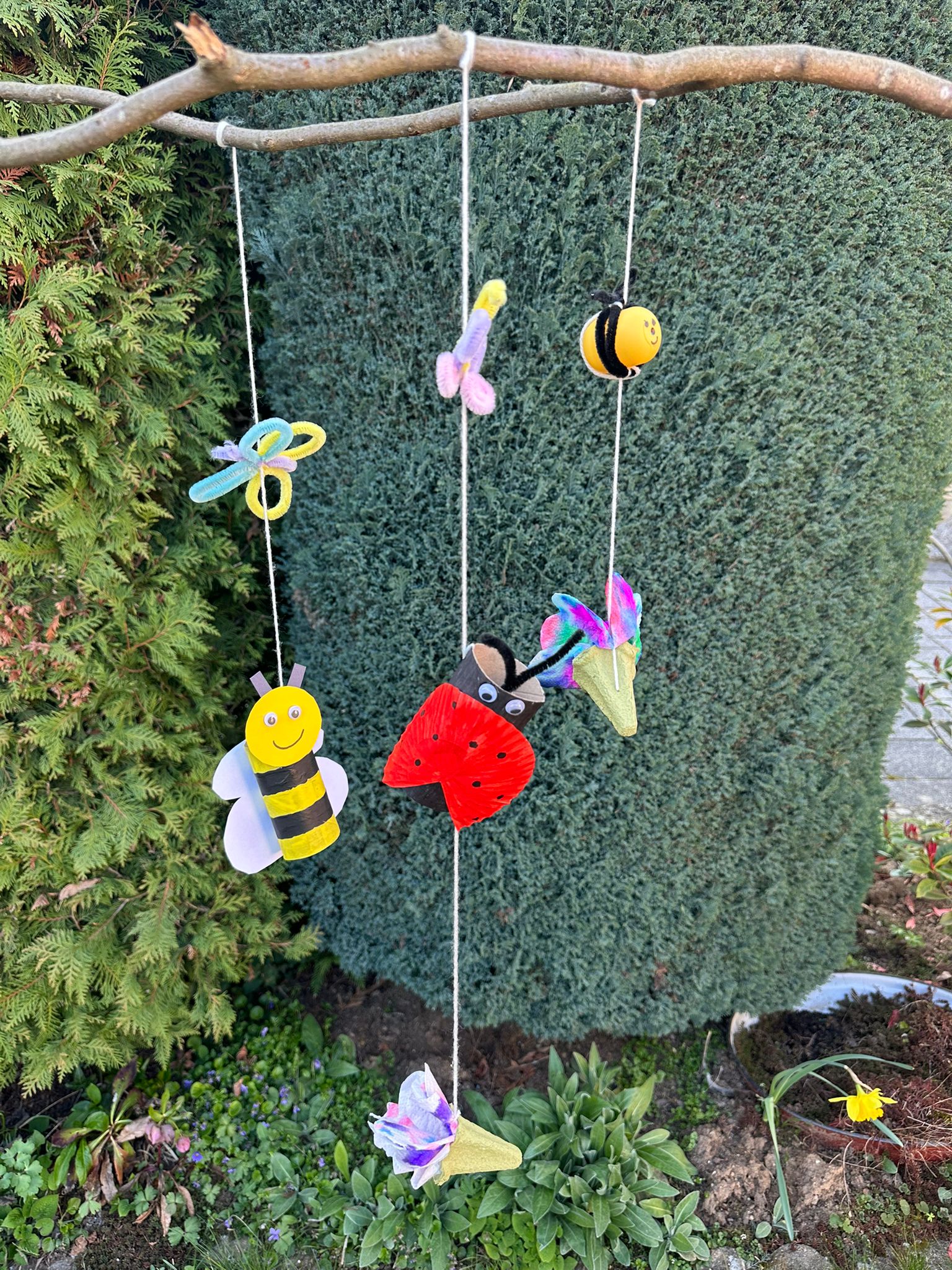 Detailbild: 
