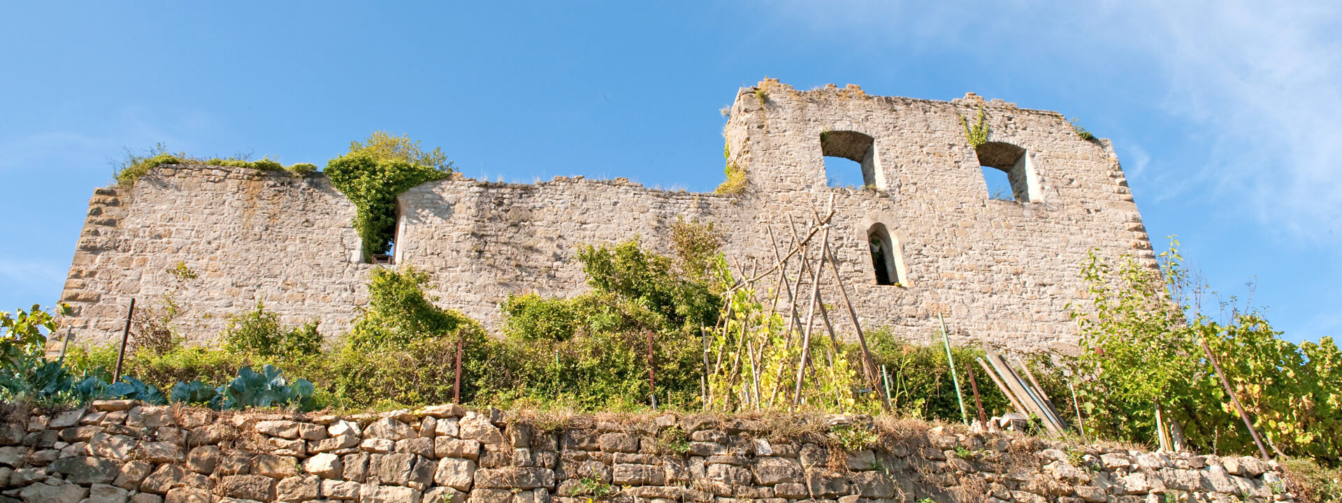  header-burgruine.jpg