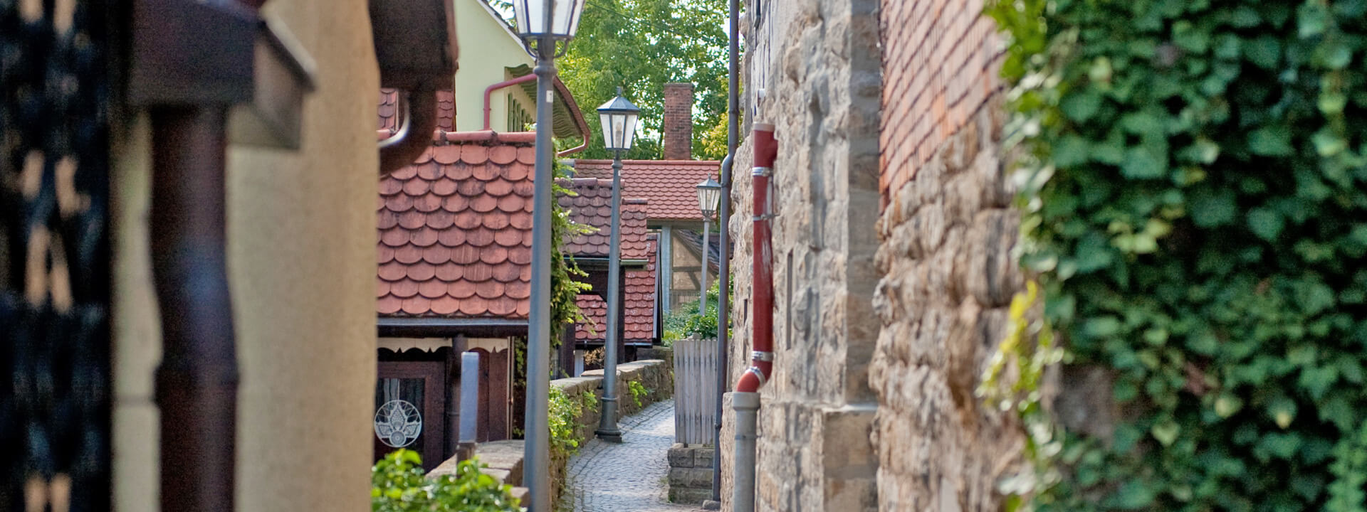  header-hexenwegle.jpg