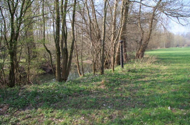 Bild Galeriewald