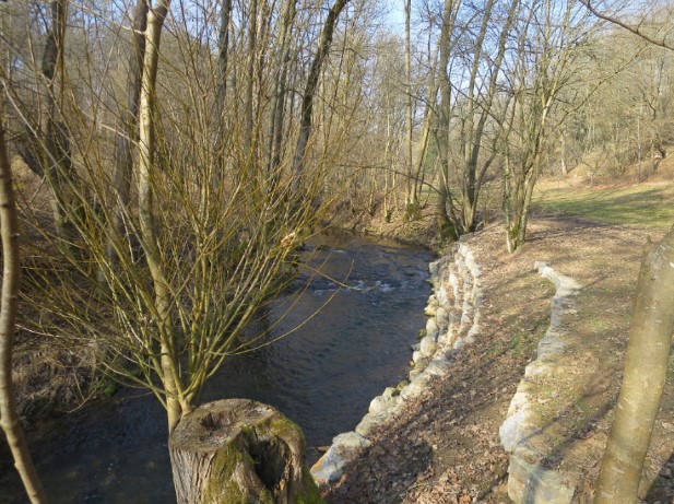 Bild Hochwasser